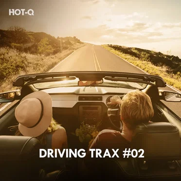 Driving Trax, Vol. 02 by Various Artists - album cover