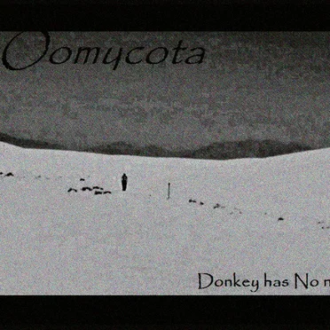 Donkey has No name