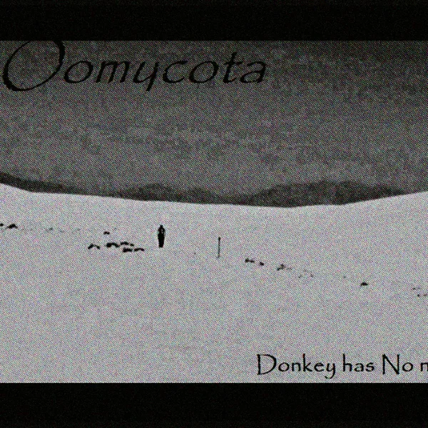 Donkey has No name