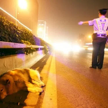 Strangers No More EP