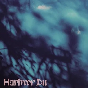 Harbwr Du by Harbwr Du - album cover