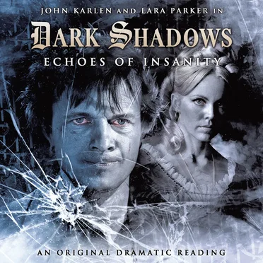 Dark Shadows: Echoes of Insanity by D Lynn Smith - album cover