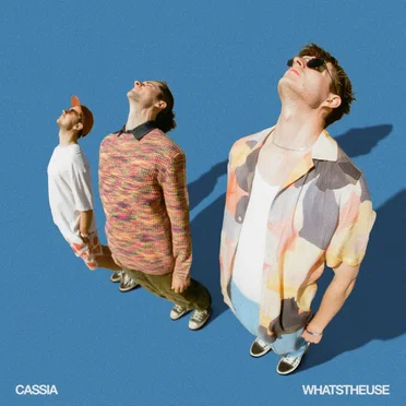 whatstheuse by Cassia - album cover