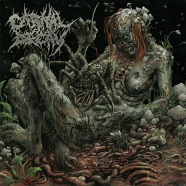 Promo 2016 by Carnal Decay - album cover