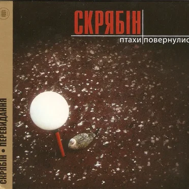 Птахи повернулись