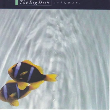 Swimmer by The Big Dish - album cover