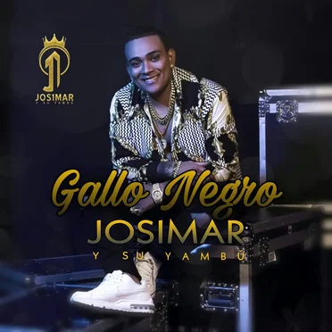 Gallo negro