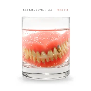 Pink Fit by The Kill Devil Hills - album cover