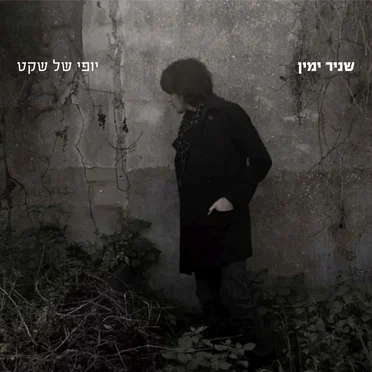 יופי של שקט
