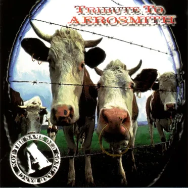 Not the Same Old Song and Dance: Tribute to Aerosmith by Various Artists - album cover