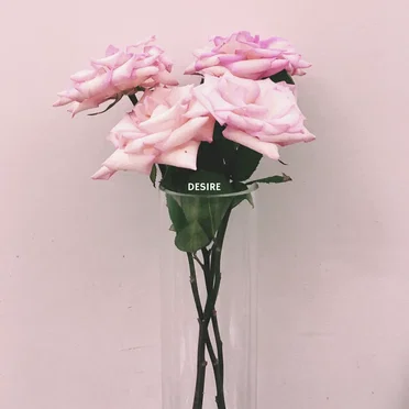 Desire