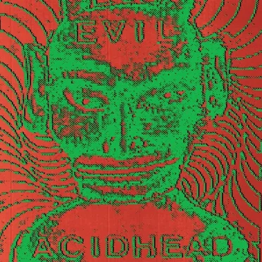 In the Name of All That Is Unholy by Evil Acidhead - album cover