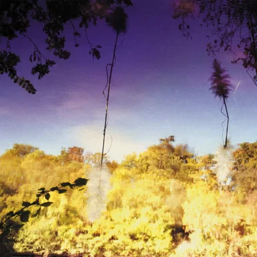 Ascent by Disco Anti Napoleon - album cover