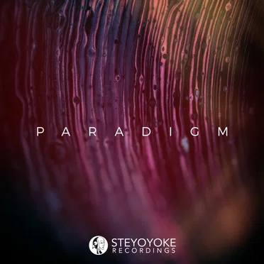 Steyoyoke Paradigm, Vol. 08 by Various Artists - album cover