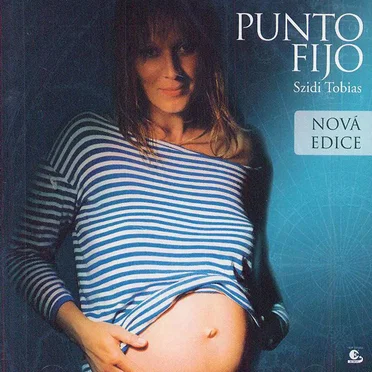 Punto Fijo