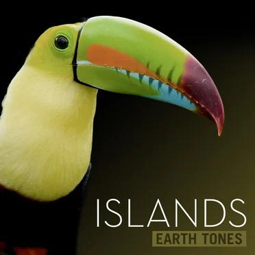 Islands by Earth Tones - album cover