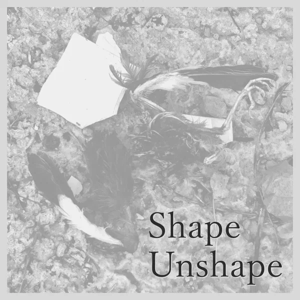 Shape Unshape