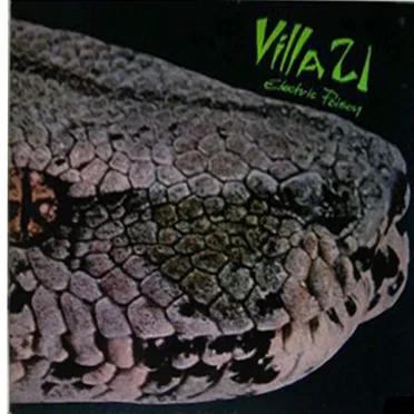 Electric Poison by Villa 21 - album cover