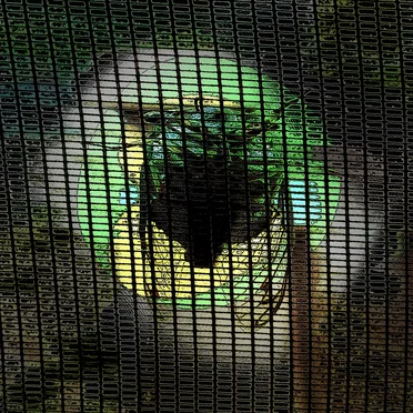 Music for Long Attention Spans, Vol. 22