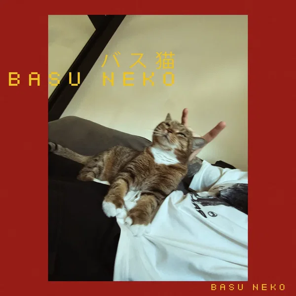 Basu Neko