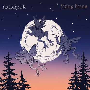 Flying Home by Natterjack - album cover