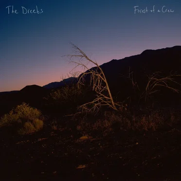 Forest of a Crew by The Dreebs - album cover