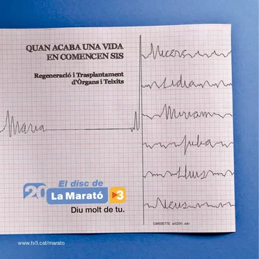 El disc de La Marató 2011 by Various Artists - album cover