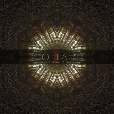 Salvia (From “Scorn”)