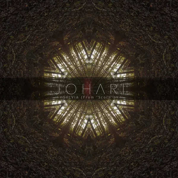 Salvia (From “Scorn”)