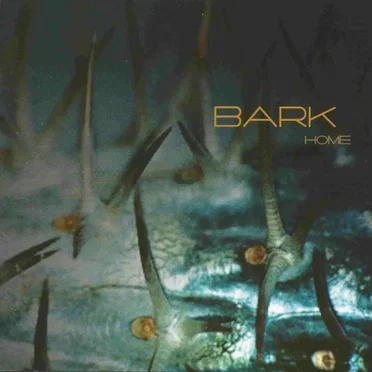 Home by Bark - album cover