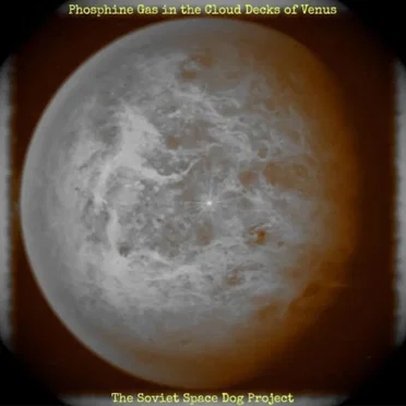 Phosphine Gas in the Cloud Decks of Venus