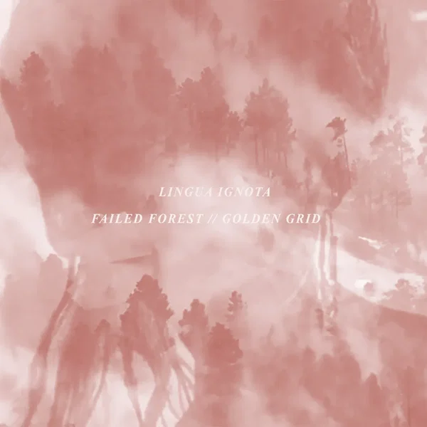 FAILED FOREST // GOLDEN GRID