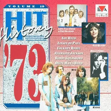 Hit History, Volume 19: 1973 by Various Artists - album cover