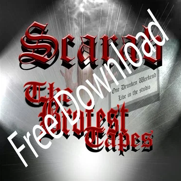 The Brofest Tapes (One Drunken Weekend)