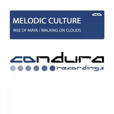Into New Spaces EP by Melodic Culture - album cover