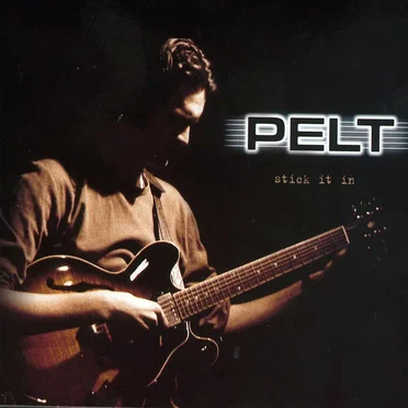 Stick it in by Joep Pelt - album cover
