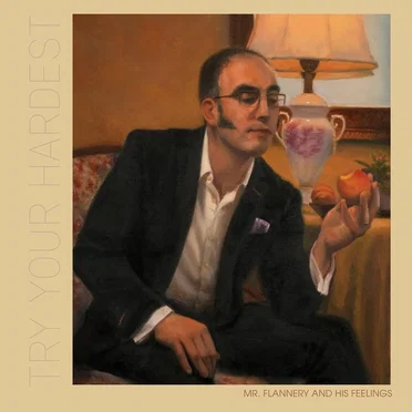 Try Your Hardest by Mr. Flannery and His Feelings - album cover