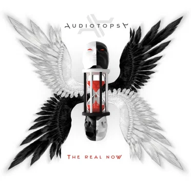 The Real Now by Audiotopsy - album cover