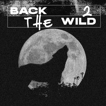 back 2 the wild by City Kids Feel the Beat - album cover