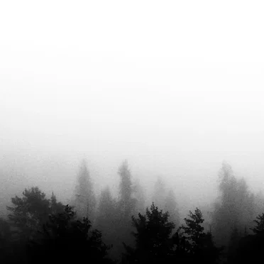 There Is No Comfort by Autius - album cover