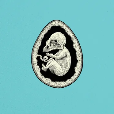 Egg