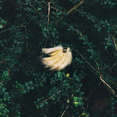 Pennsylvania by May Payne - album cover