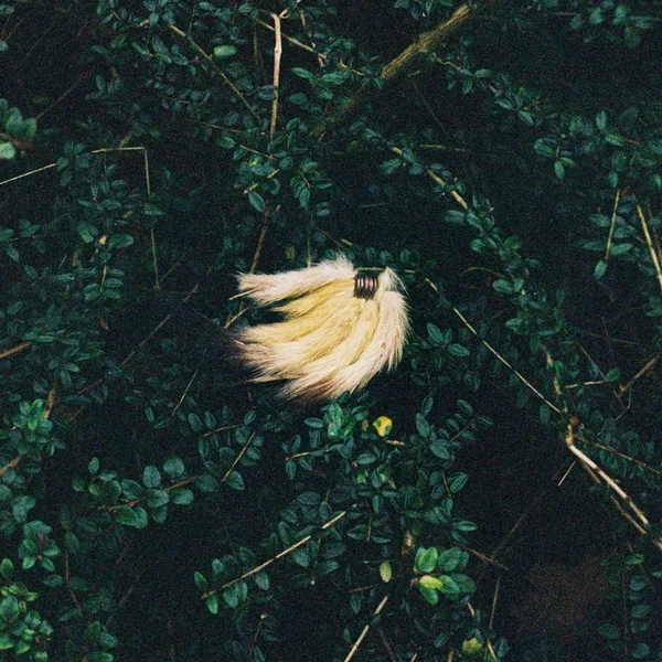 Pennsylvania
