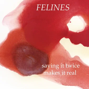 Saying It Twice Makes It Real by The Felines - album cover