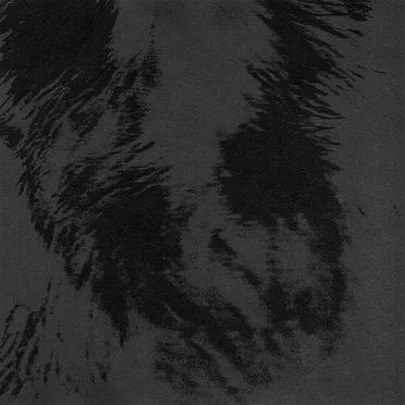 Black Album by Ivan Zoloto - album cover