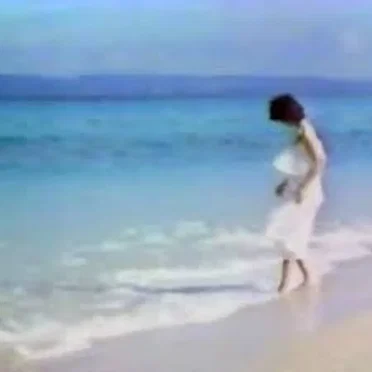 一緒に海岸を歩きます