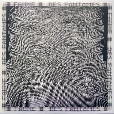 Des Fantômes
