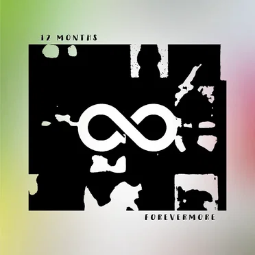 12 Months: Forevermore by InanimateMashups - album cover