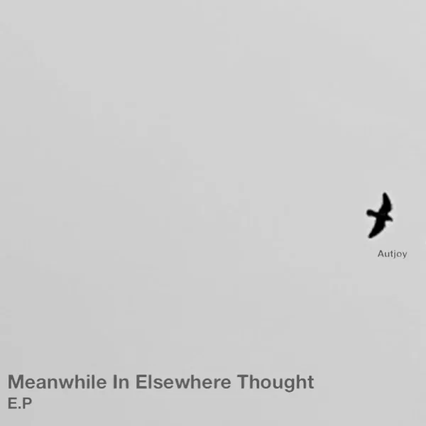 Meanwhile In Elsewhere Thought E.P