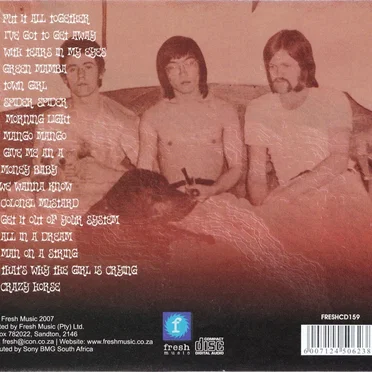 Spider Spider: The Best of The Tidal Wave by The Tidal Wave - album cover